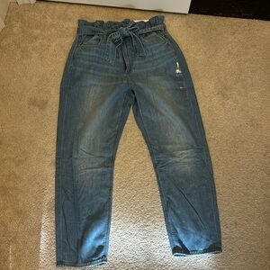 American Eagle Mom Jean